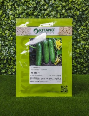 Огурец KS 260 F1 10 семян