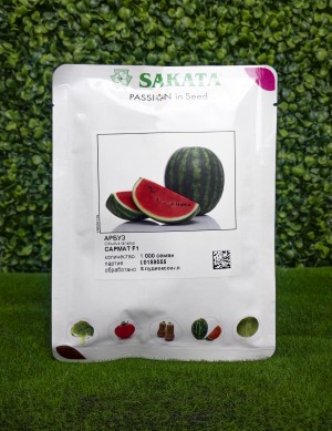 Арбуз Сармат F1 1000 семян копия №1761837985