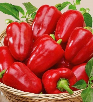 Перец Крепыш 50 гр.